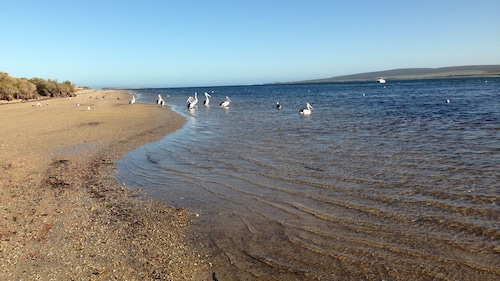 Anglers Anchorage - Baird Bay 50 kms from South of Streaky Bay on the West Coast