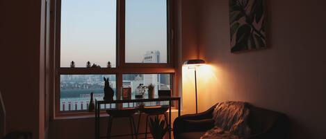 Music library, video library