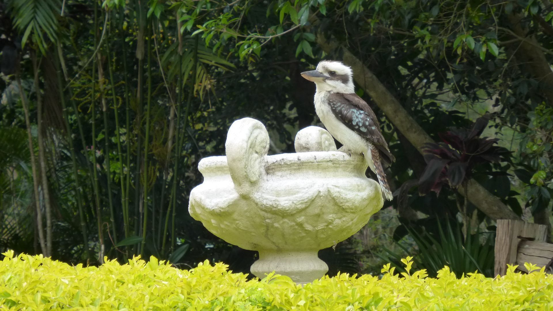 Lark Rise - semi-rural relaxation — image 16