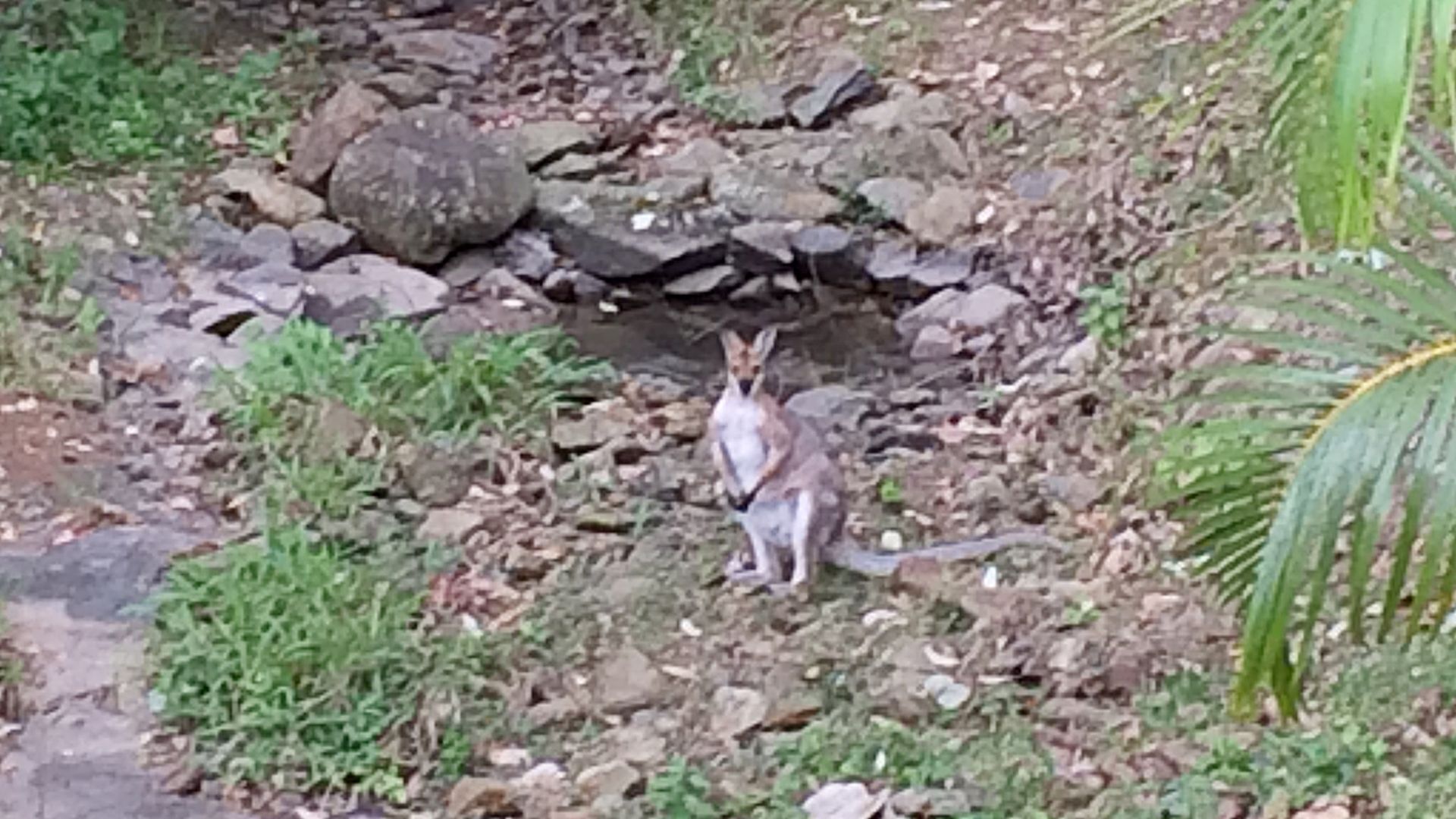 Lark Rise - semi-rural relaxation — image 18