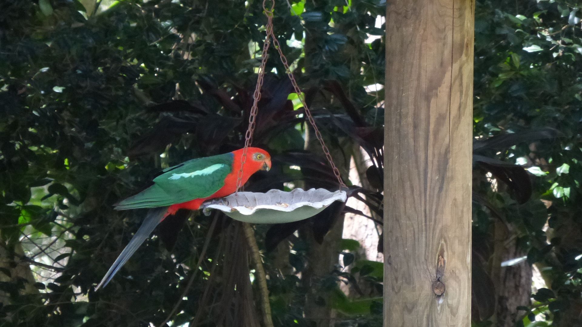 Lark Rise - semi-rural relaxation — image 17