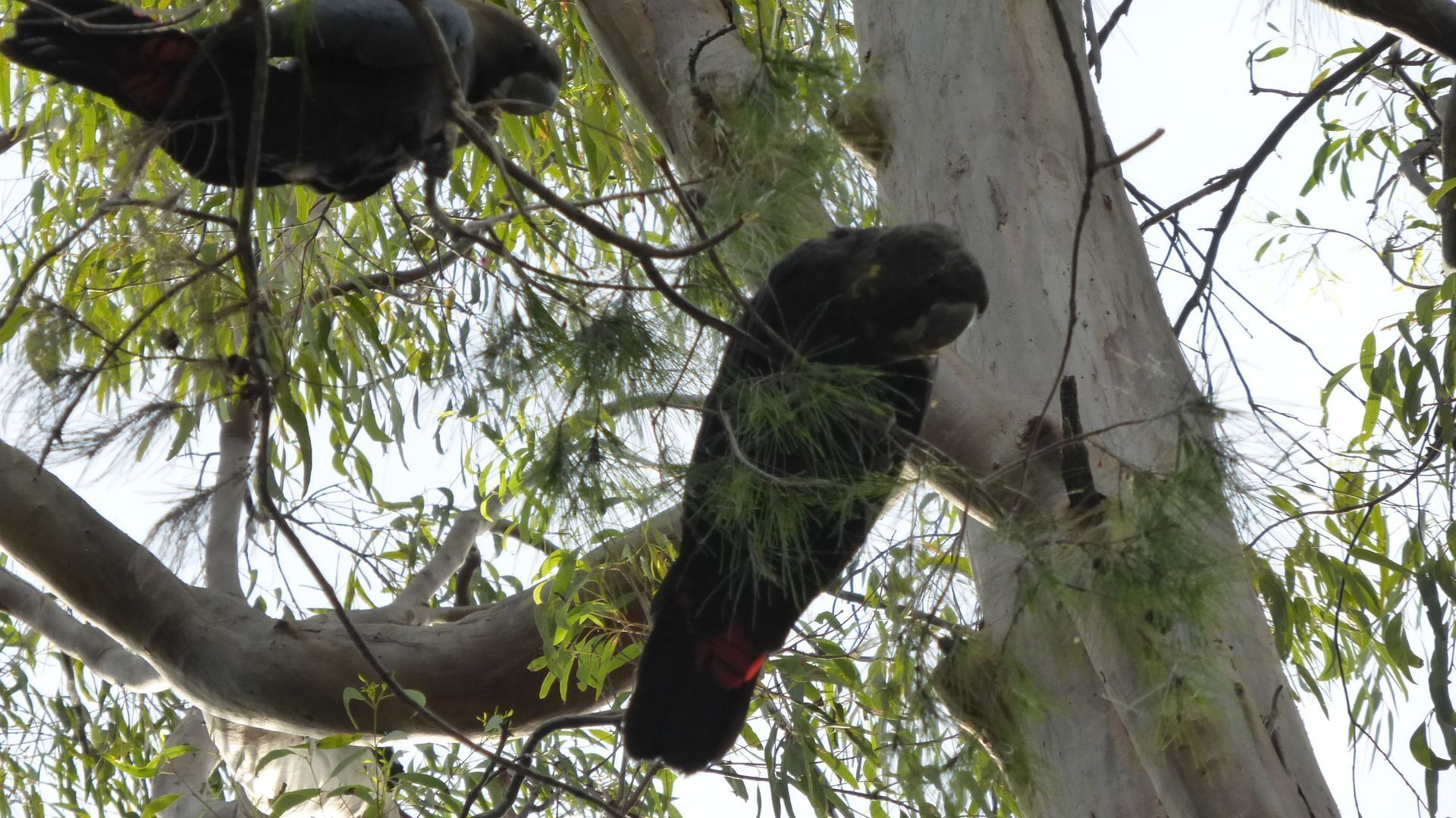 Lark Rise - semi-rural relaxation — image 19