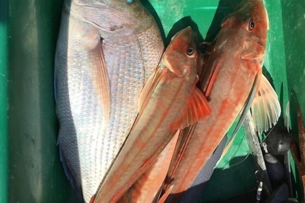 The fishing can be good