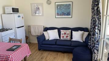 Smart TV, DVD player, books, video library