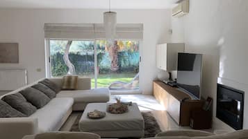 TV, fireplace, books, stereo