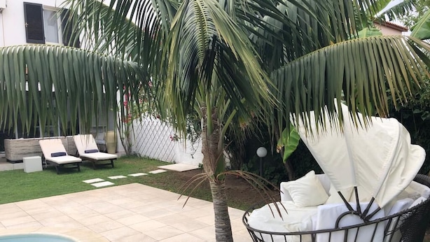 A poolside area with a palm tree, lounge chairs, and a covered seating area. - Villa Ines, sul mare con piscina (CAPOTERRA)
