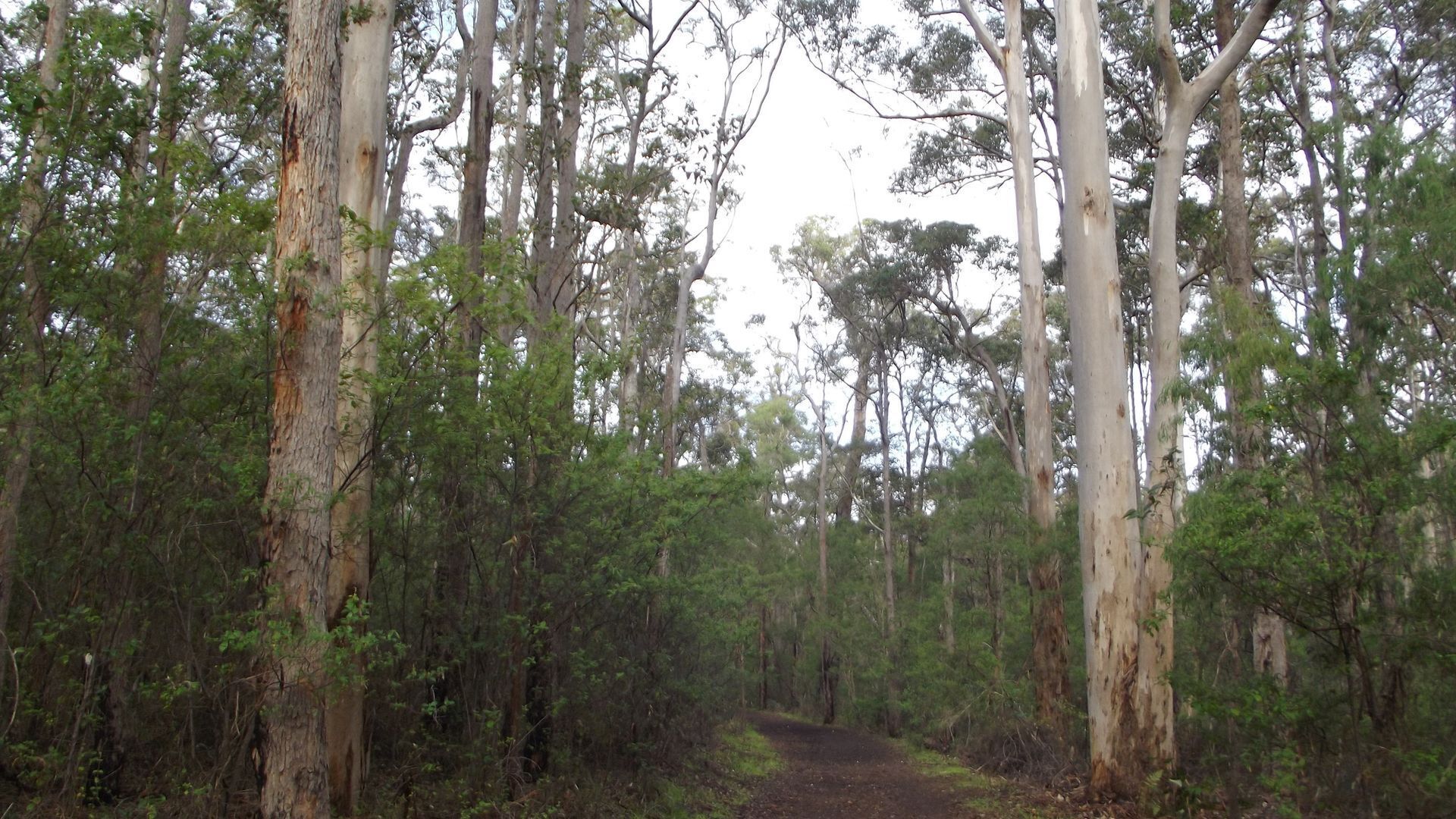Sundowners Margaret River — image 20