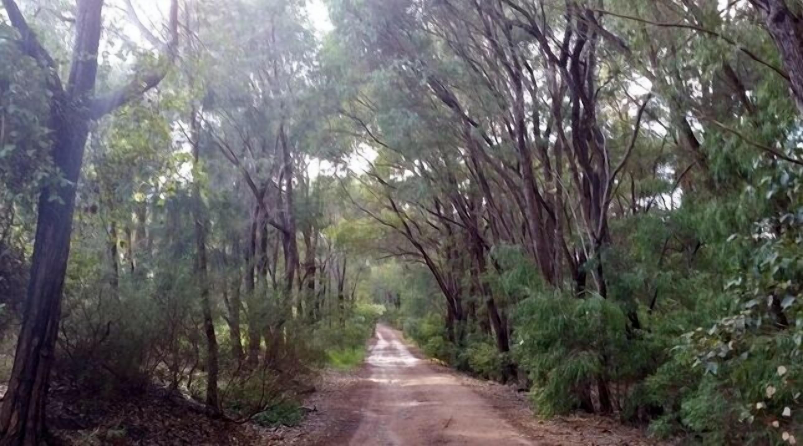 Sundowners Margaret River — image 18