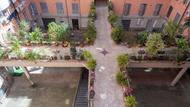 Un patio con plantas en macetas y una escalera central.