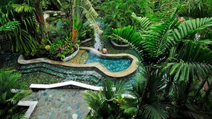 A tropical garden with a winding pool, lush greenery, and a stone pathway. - Condos Vista Al Volcán (La Fortuna)