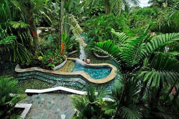 A tropical garden with a winding pool, lush greenery, and a stone pathway.