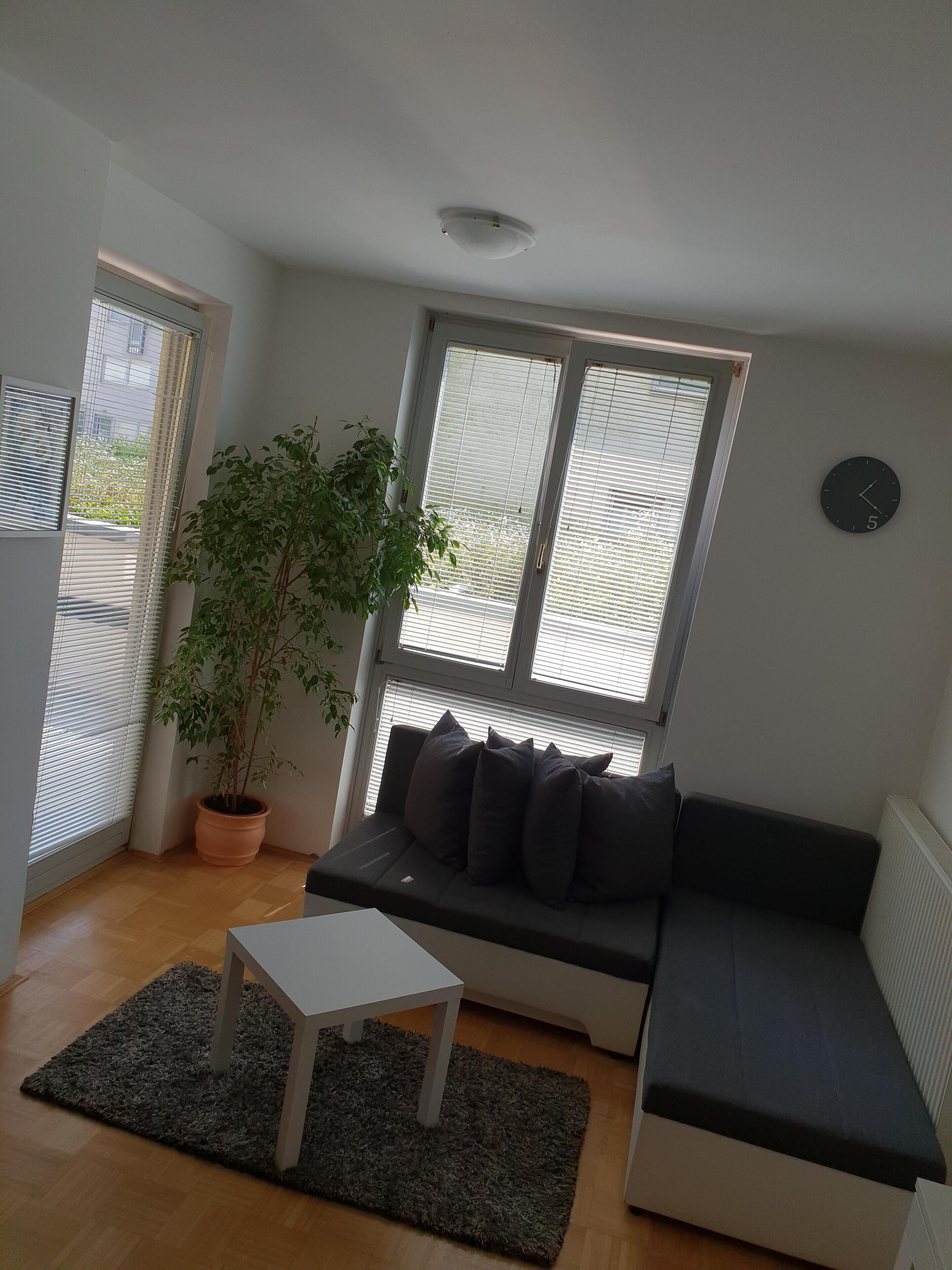 Uma sala de estar com sofá, uma mesinha, um vaso de planta e uma janela com persianas.