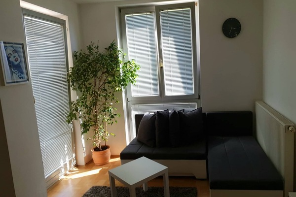 Living room-sitting area-bedroom