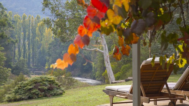 A wooden deck with lounge chairs overlooking a river and forest. - Riverside House on the beautiful Howqua River (Howqua)