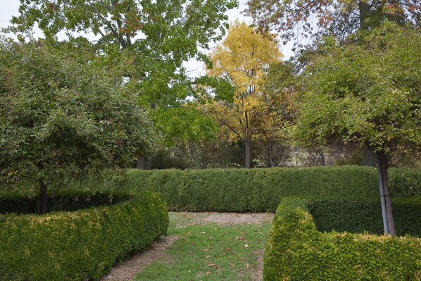 A well-maintained garden with neatly trimmed hedges and a variety of trees, including some with yellow leaves. - Riverside House on the beautiful Howqua River (Howqua)