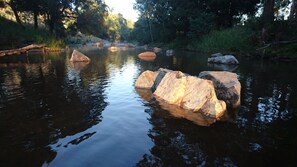 A calm river with large rocks in the middle, surrounded by dense trees. - Riverside House on the beautiful Howqua River (Howqua)