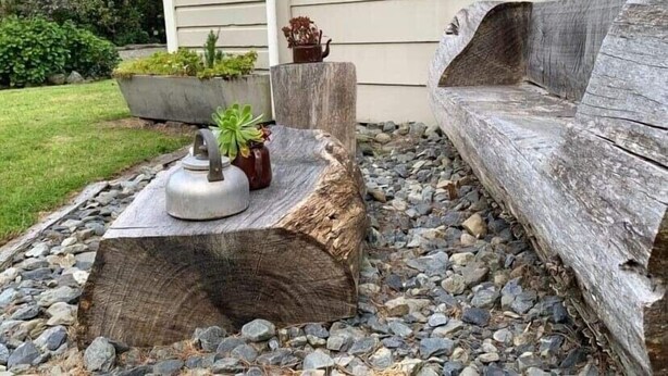 Un espacio al aire libre rústico con un banco de madera, una tetera de metal y una planta en maceta sobre un tocón de árbol.
