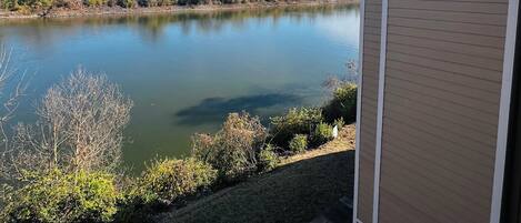 Vista de un lago con un edificio a la derecha y un cielo azul despejado.