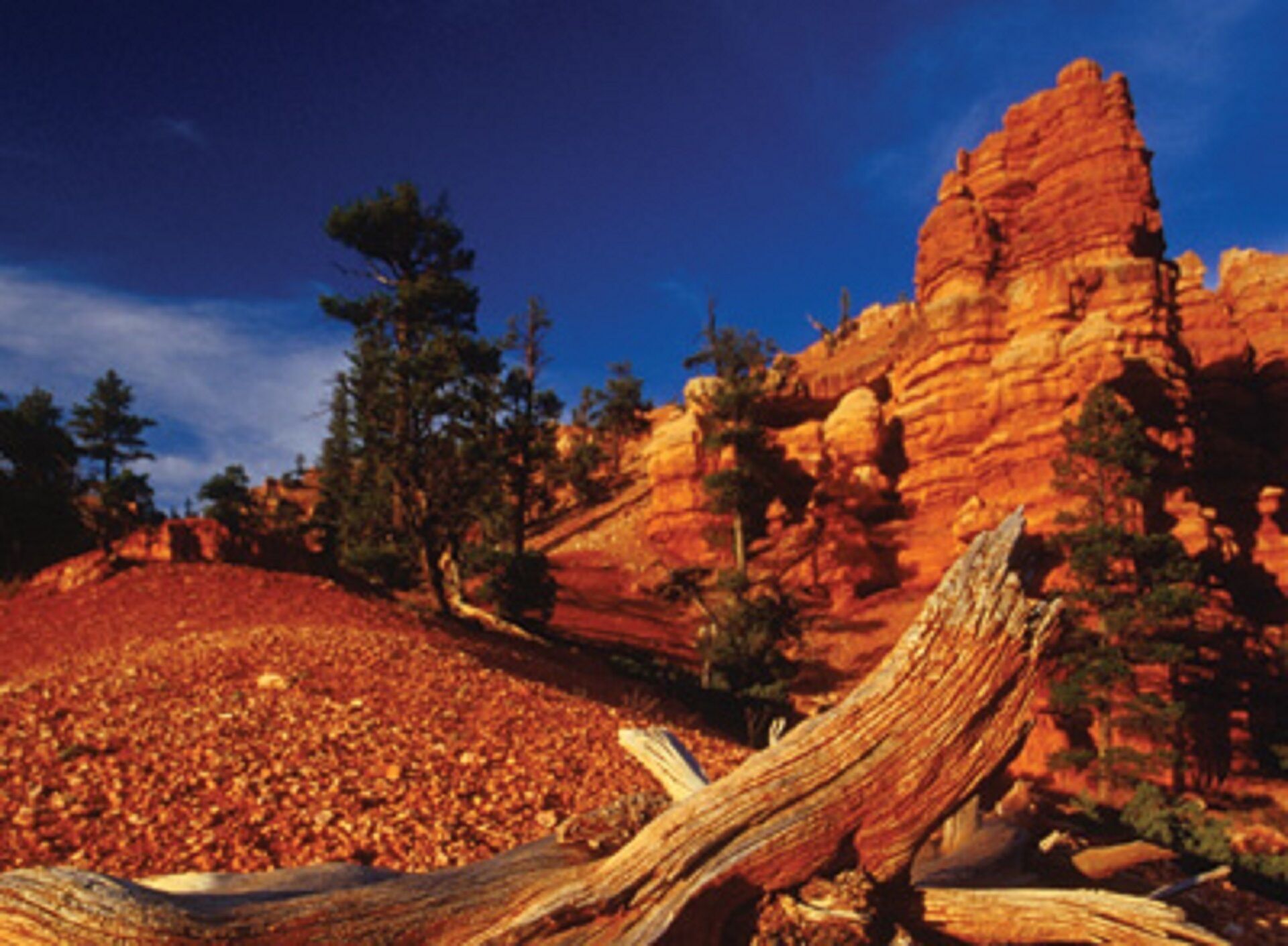 Yes ... step out into heaven!