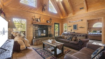 电视、壁炉、DVD 播放器、立体声音响