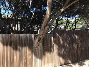 A wooden fence with a tree branch extending over it.