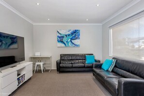 Smart TV, DVD player, books, video library