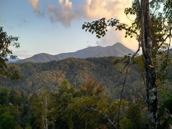 Surrounded by a dense forest, this serene landscape offers breathtaking views of misty mountains.