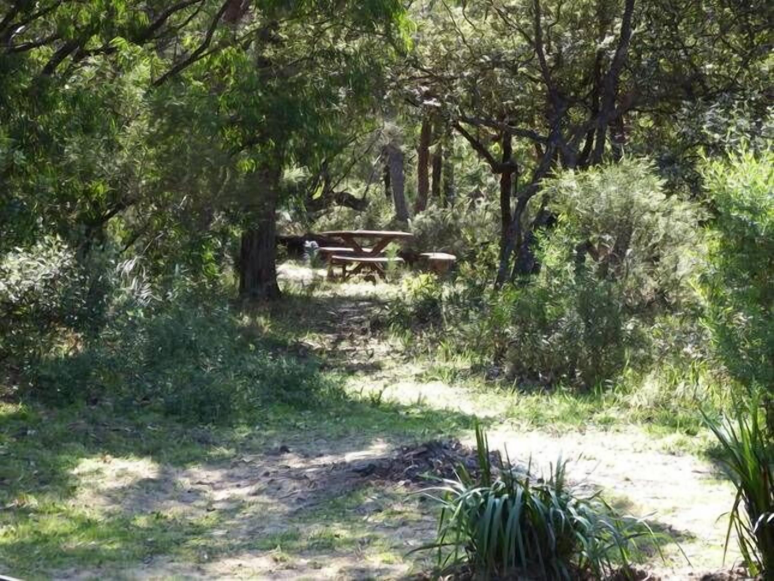 Injidup Break at Injidup — image 17