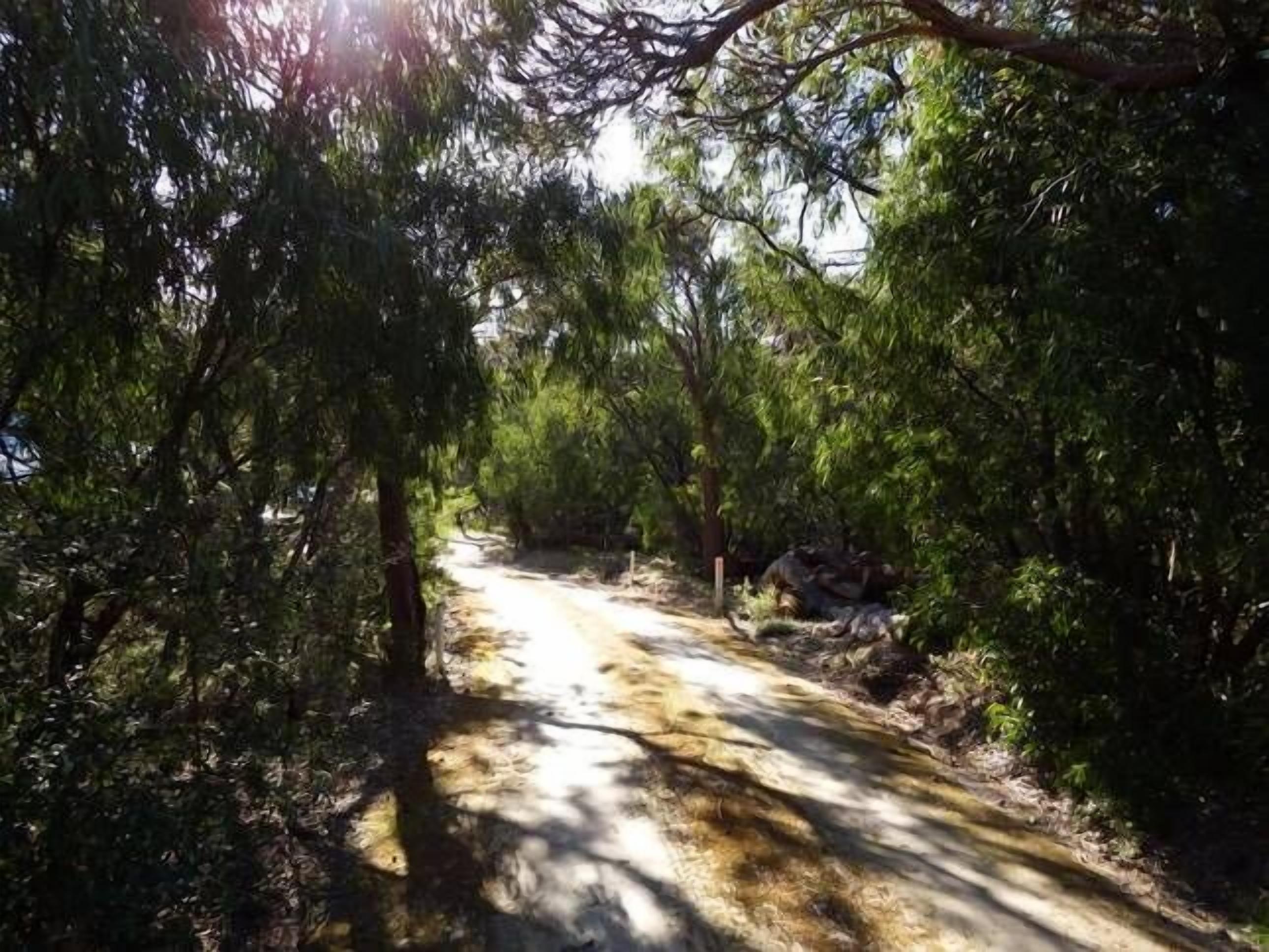 Injidup Break at Injidup — image 19