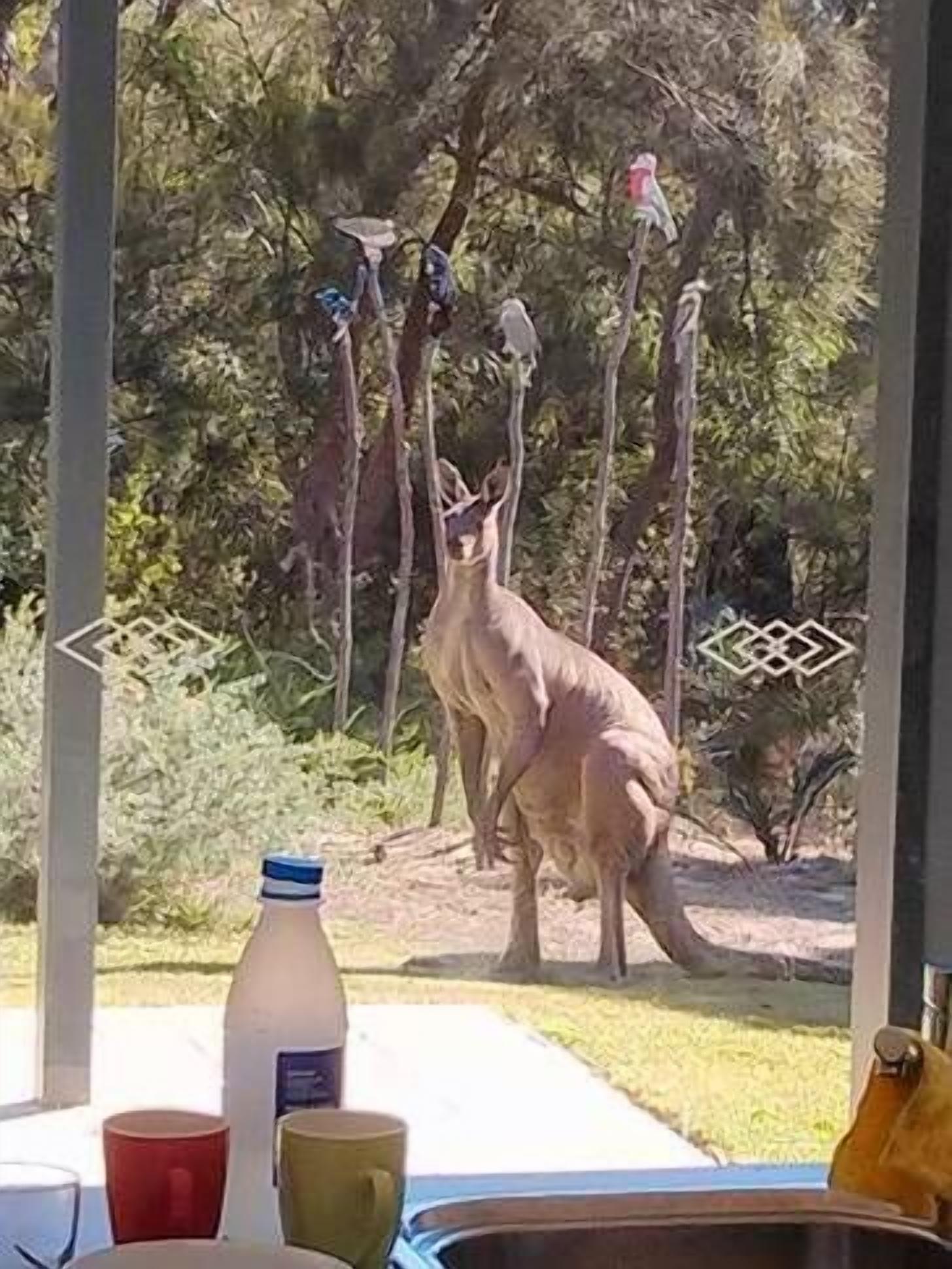Injidup Break at Injidup — image 3
