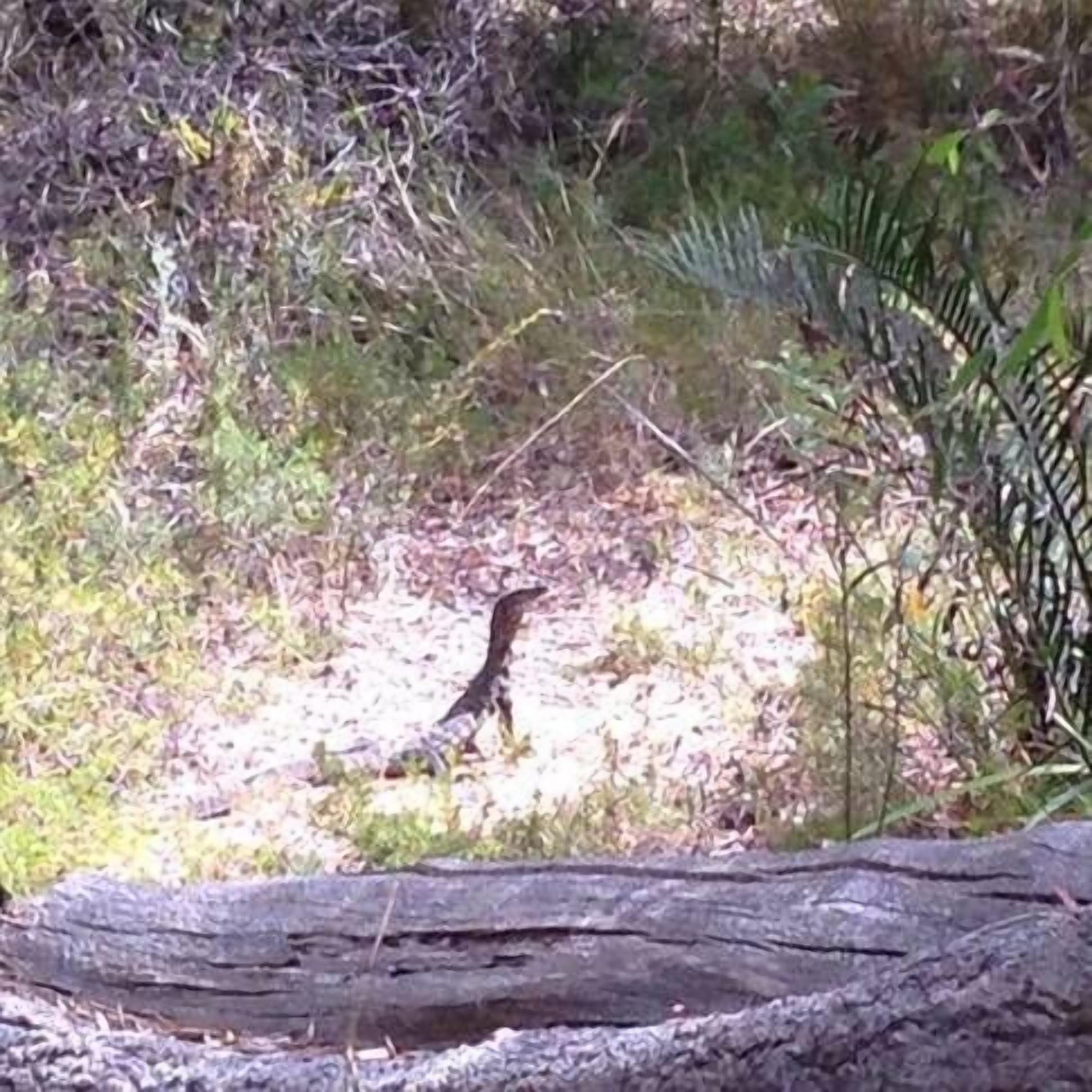 Injidup Break at Injidup — image 21