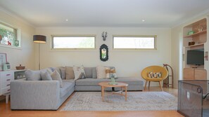 Smart TV, fireplace, DVD player, books