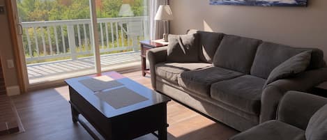 Smart TV, fireplace, DVD player