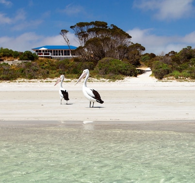 Beach Front. Panoramic Views. Kayaks. Nestled in Nature