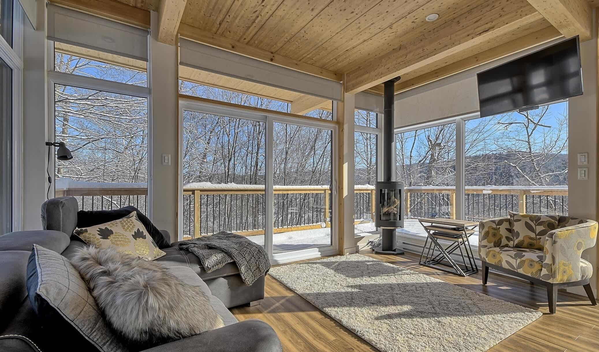 TV, fireplace, books, offices