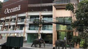 Un bâtiment sur lequel on peut lire l’inscription « Oceana », avec un magasin FamilyMart situé à côté.