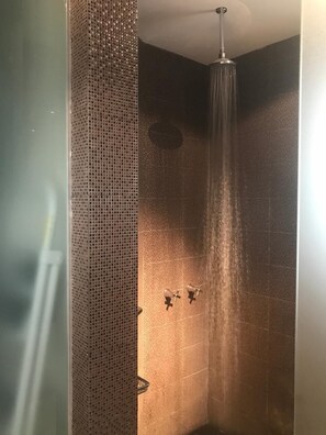 Dusche, Haartrockner, Handtücher, Shampoo