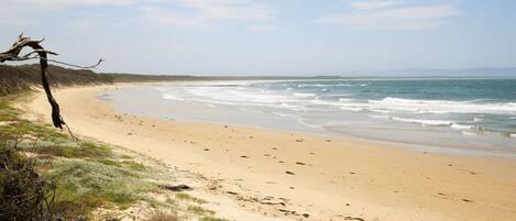 Una playa cerca