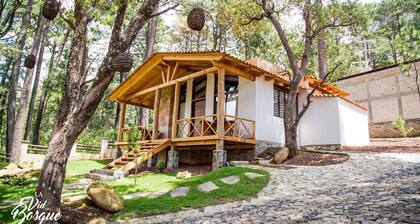 Cabañas La Vid Del Bosque