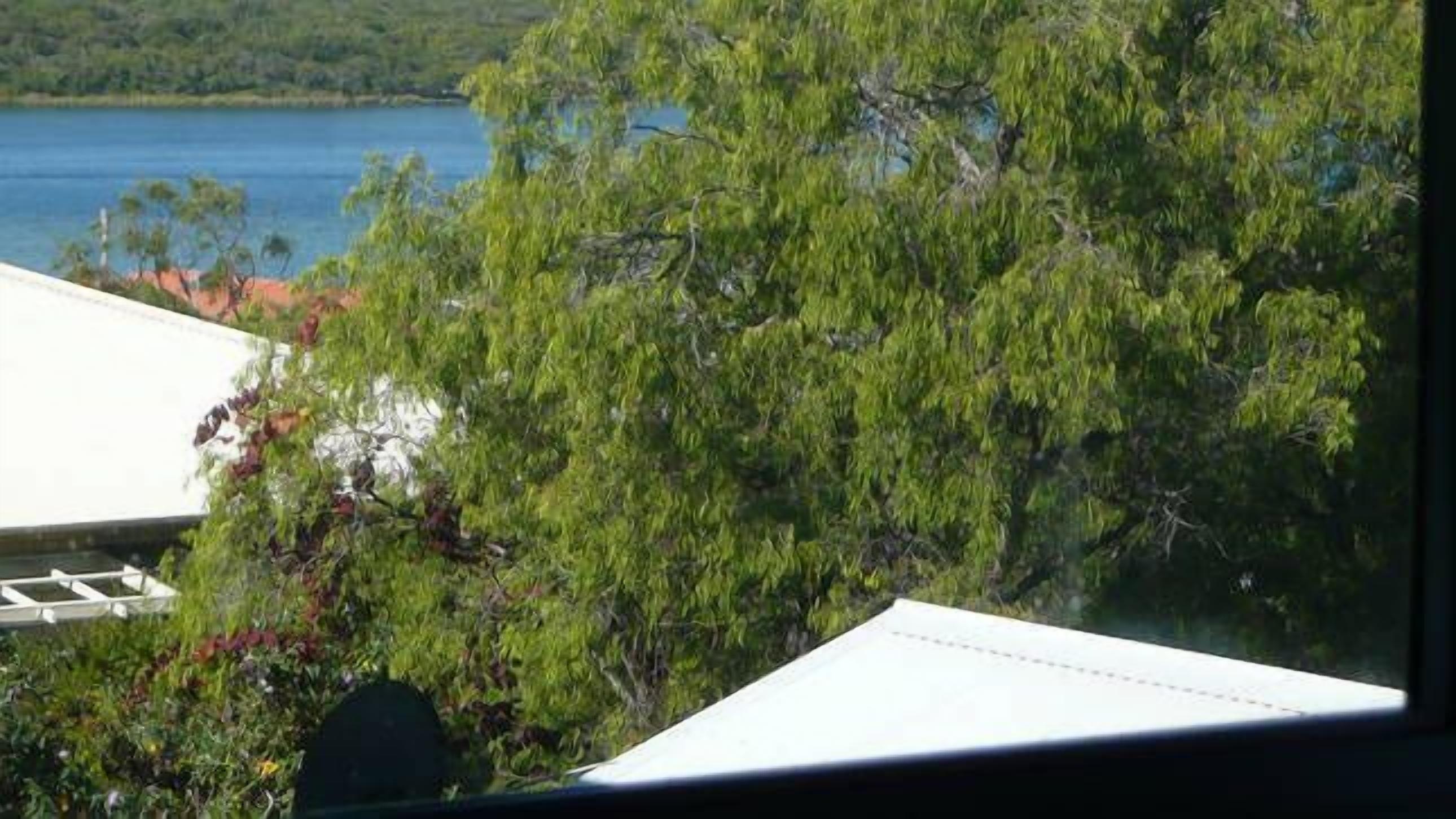 Augusta Manning Views — image 3