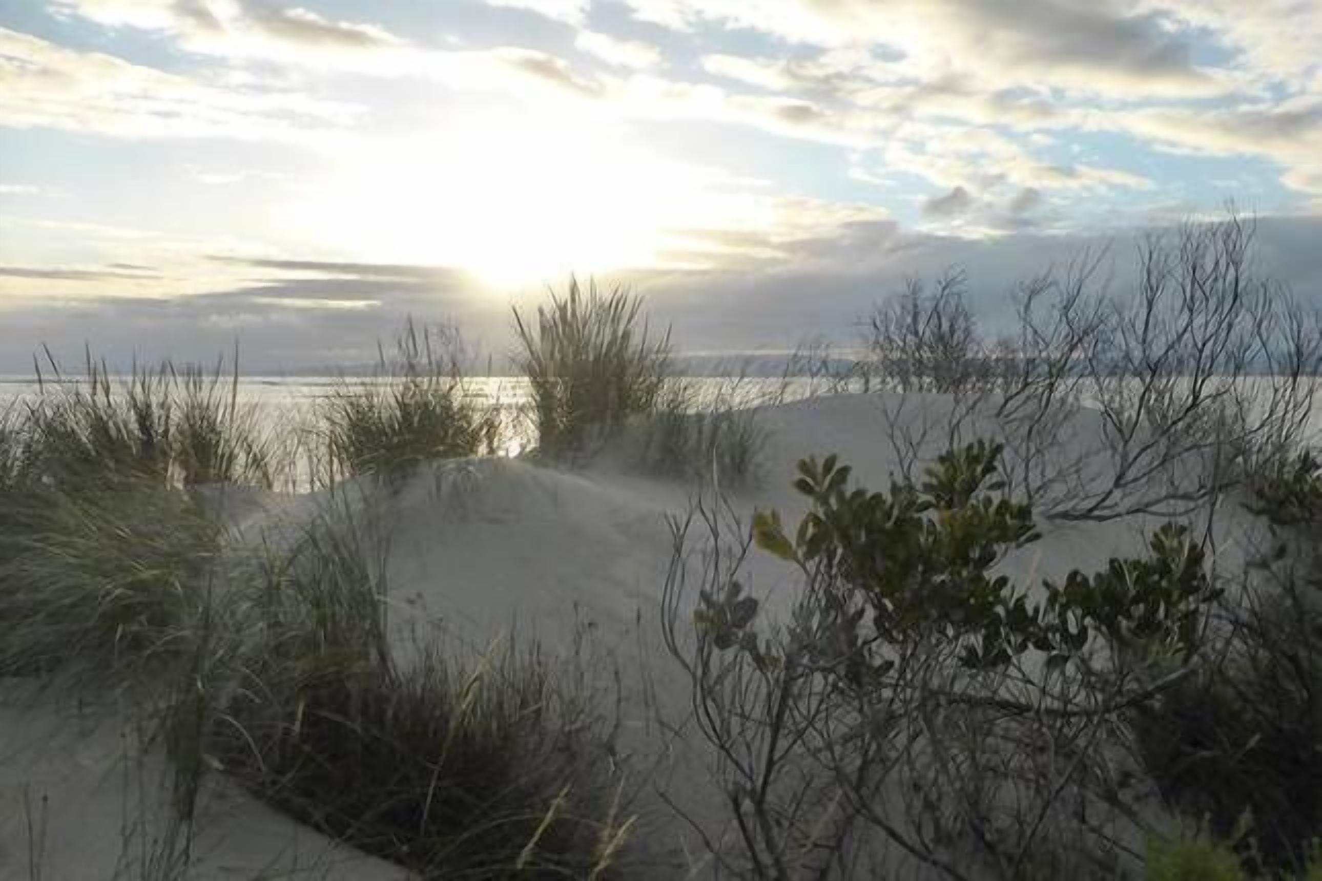 Hazards View Retreat — image 4