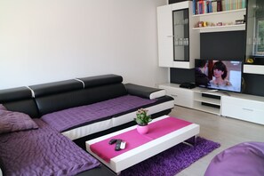 Flat-screen TV