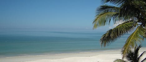 在海灘附近、躺椅、太陽傘、沙灘巾