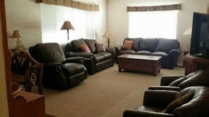 TV, fireplace, DVD player, books