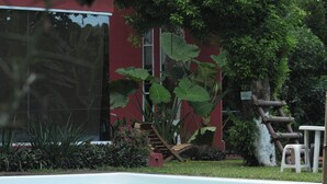 Una piscina con plataforma de madera, rodeada de vegetación exuberante y un edificio rojo.