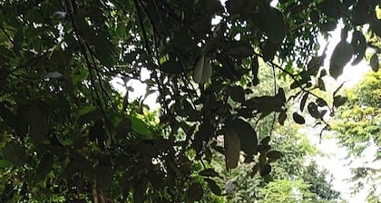 Casa de Martha y jaime rural