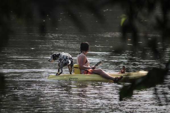 Una persona en kayak acompañada de un perro en un kayak amarillo.