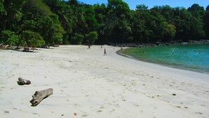 En strand med kristallklart turkost vatten, en sandstrand och tät, grön vegetation i bakgrunden.