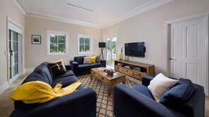 電視、DVD 播放機、影像庫、音響