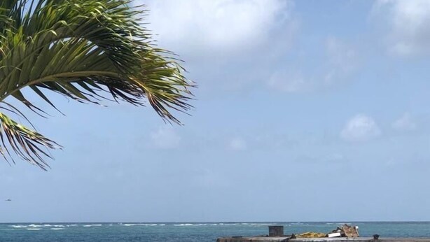 A beach with a boat, a concrete pier, and a palm tree. - The WINDWARD -  Nearby world class marina and great terrace views (Belmont)